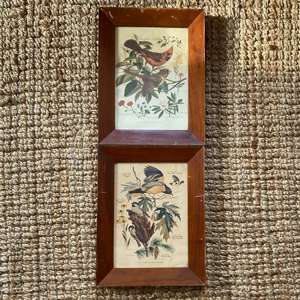 Vintage Arthur Singer bird prints, framed.  Numbers 1 & 8.
